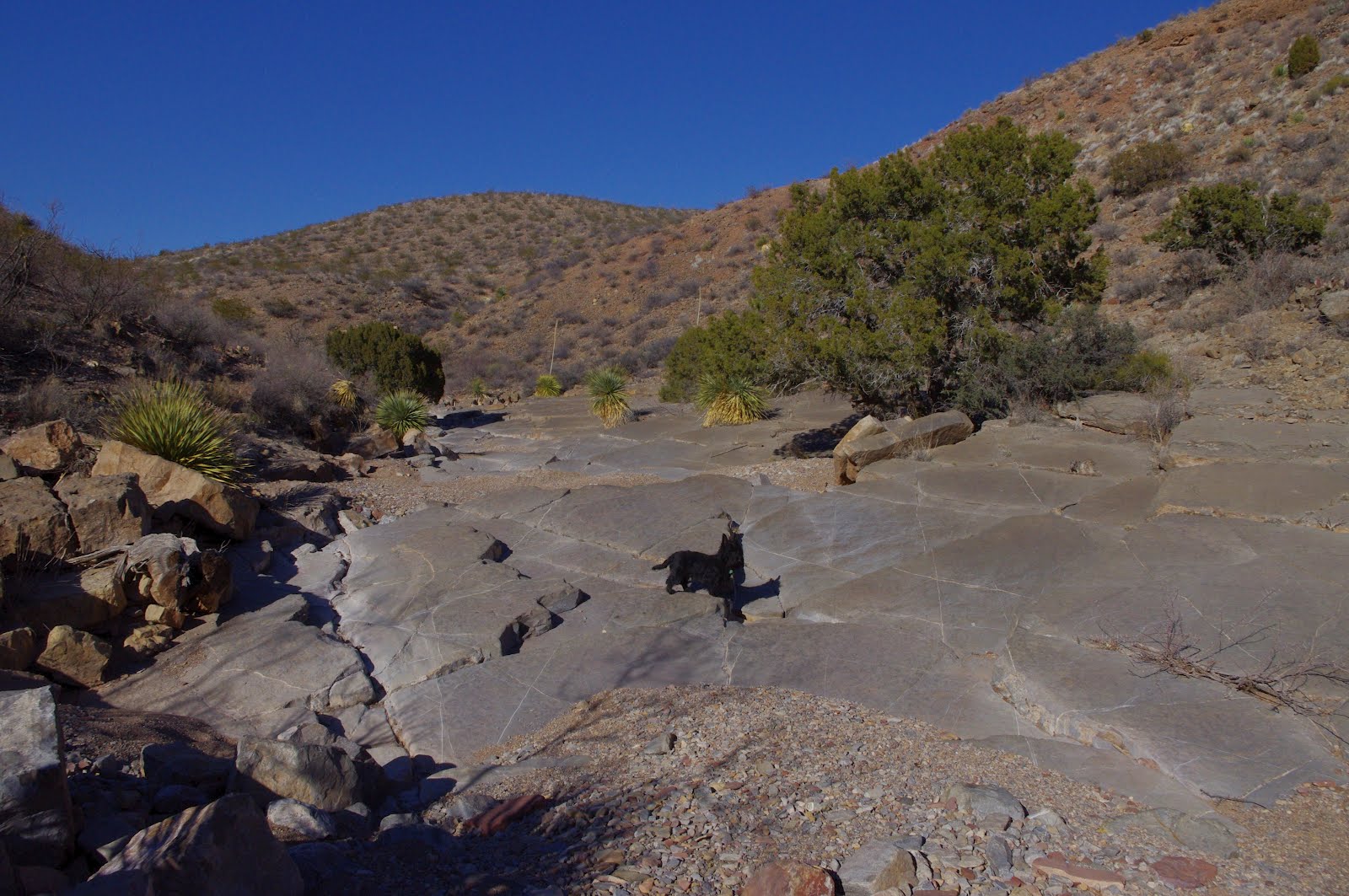 Southern New Mexico Explorer Apache Canyon Update (1/30/21), Robledo