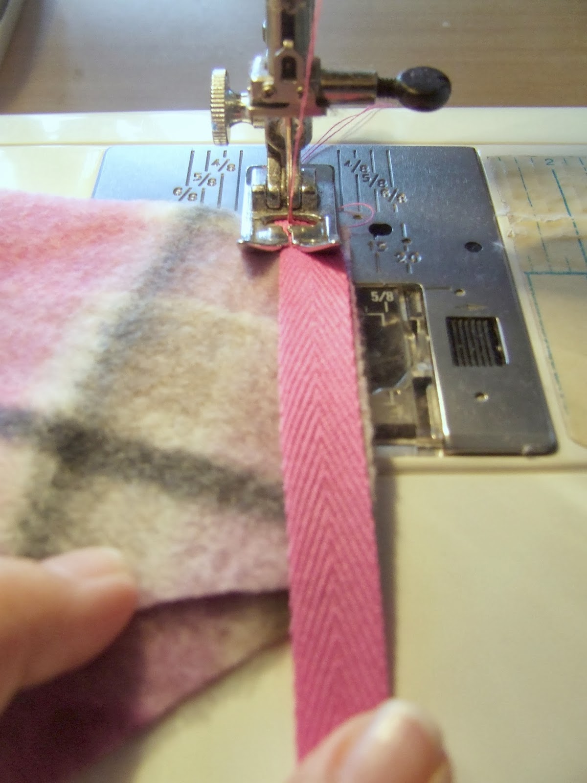 Sprouting JubeJube Using Twill Tape