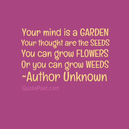 Motivational quotes for elementary students taking tests