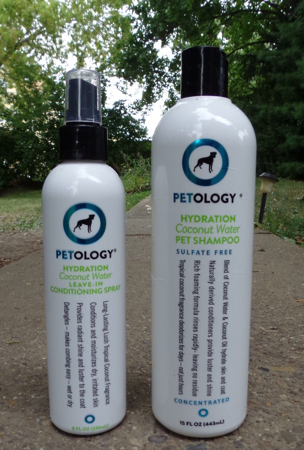 Dog Madness My Current Beauty Regimen, Woof!