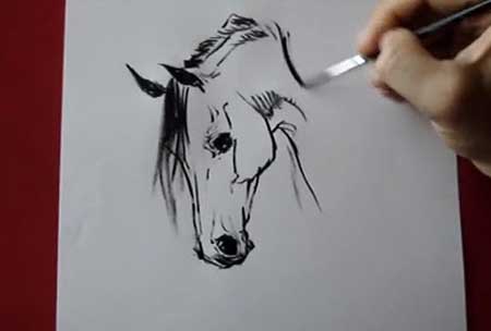 Horse head - how to draw by Tora