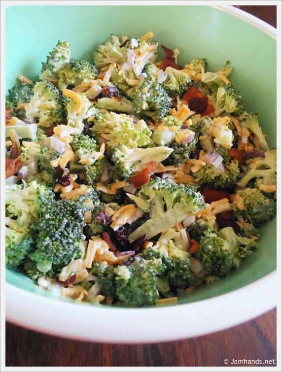 Jam Hands: The Best Ever Broccoli Salad with Dried Cranberries