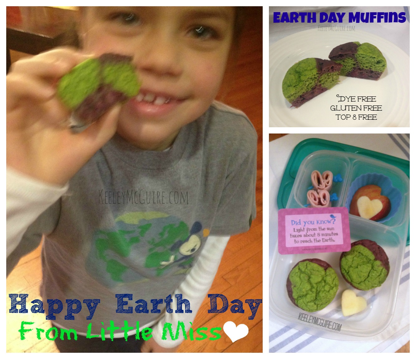 Gluten Free & Allergy Friendly Lunch Made Easy Happy Earth Day 2013!