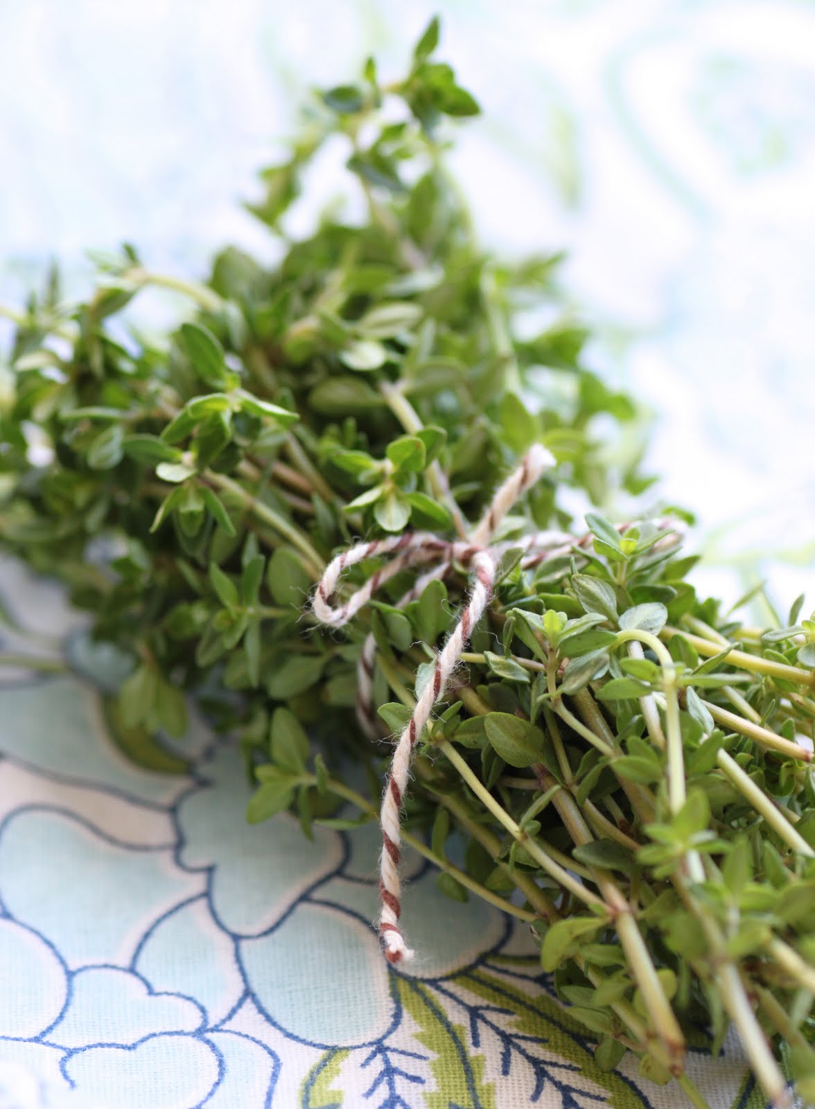 Picture Of Thyme