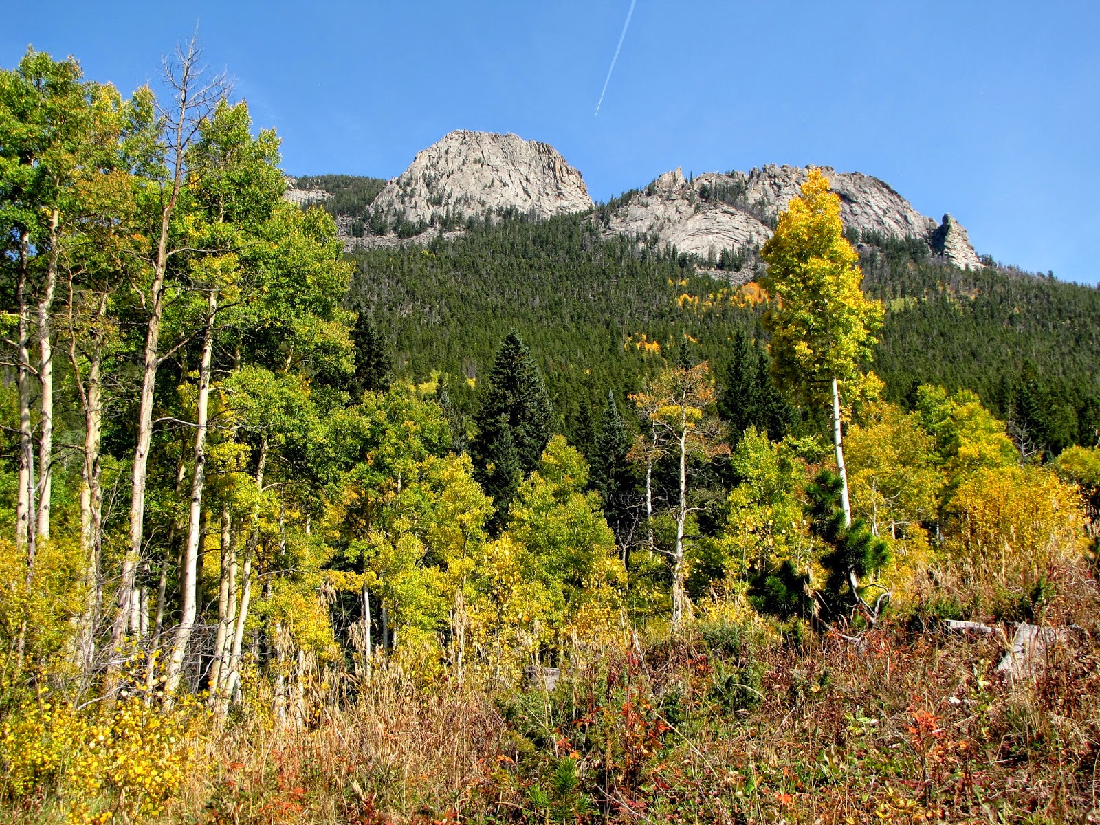 Go Hike Colorado: Panorama Point (Raccoon Loop), Golden ...