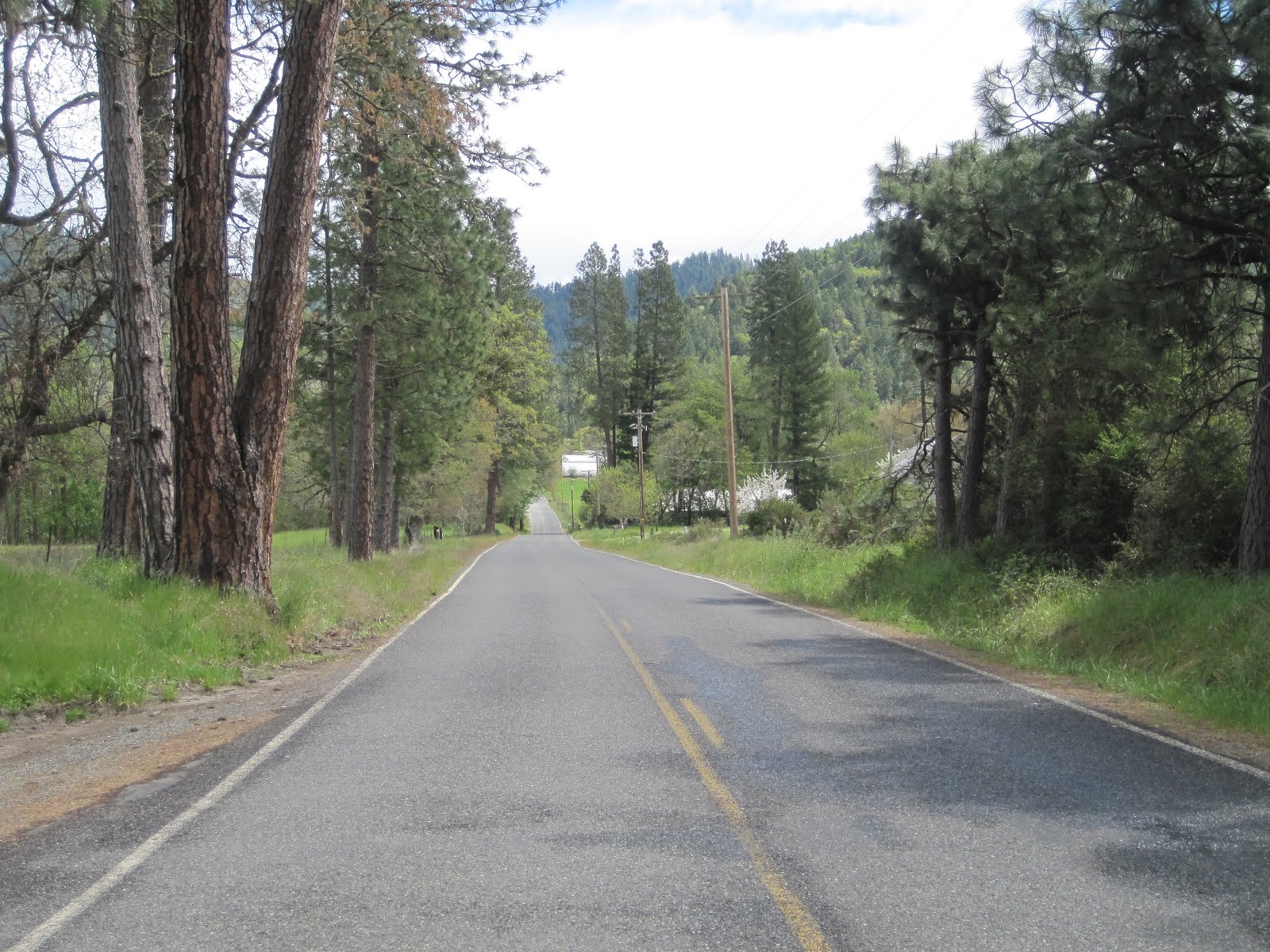 Reinventing the Run Williams, Oregon