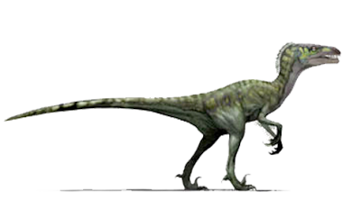 Dromaeosaurus albertensis