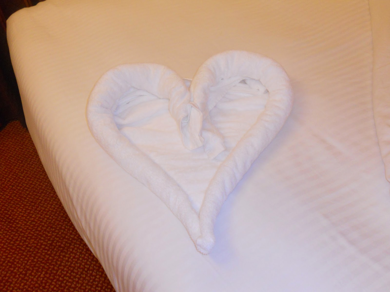 Married and Hungry Honeymoon/ Carnival Cruise Overview