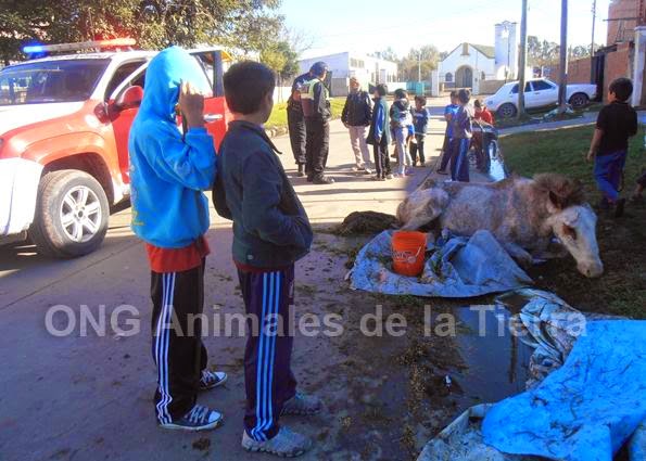 El dolor en la espalda de los riñones hacia arriba