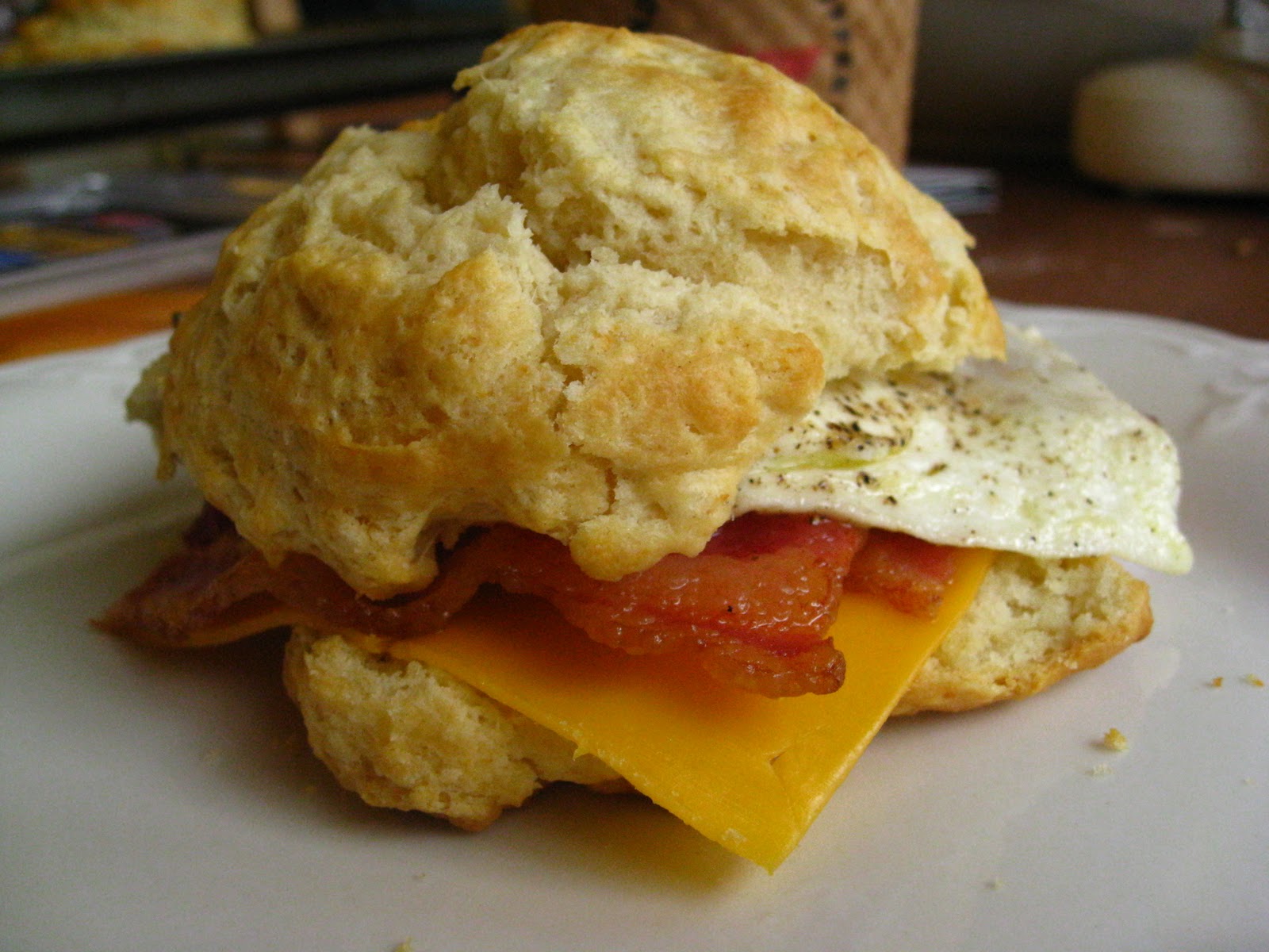 belly bulletin biscuits for breakfast