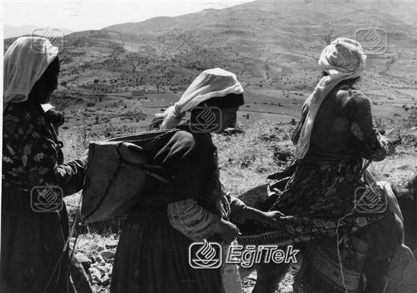 turkcusiyasetname TÜRKLERİN ASLIYÖRÜKLÜK (2ö)