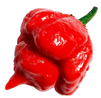 produce clerk the produce clerks handbook by rick chong scorpion pepper scoville chart