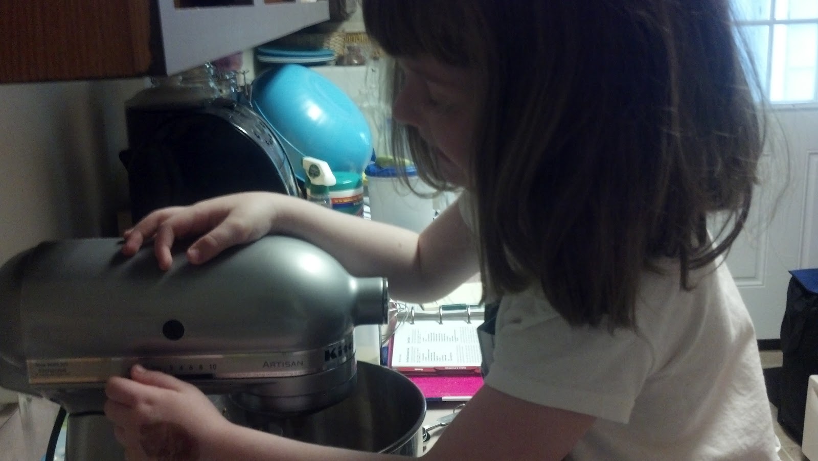 Whupsadaisy Creations When Life Throws You Lemons, Make Chocolate Cake