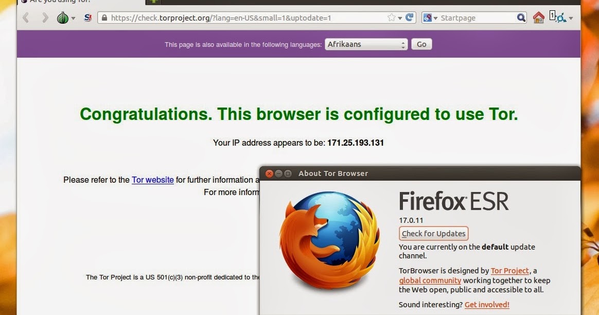 difference between tor browser and expert bundle