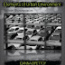 Elements Of Urban Environment