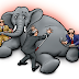 Blind Men, Blind Elephants.