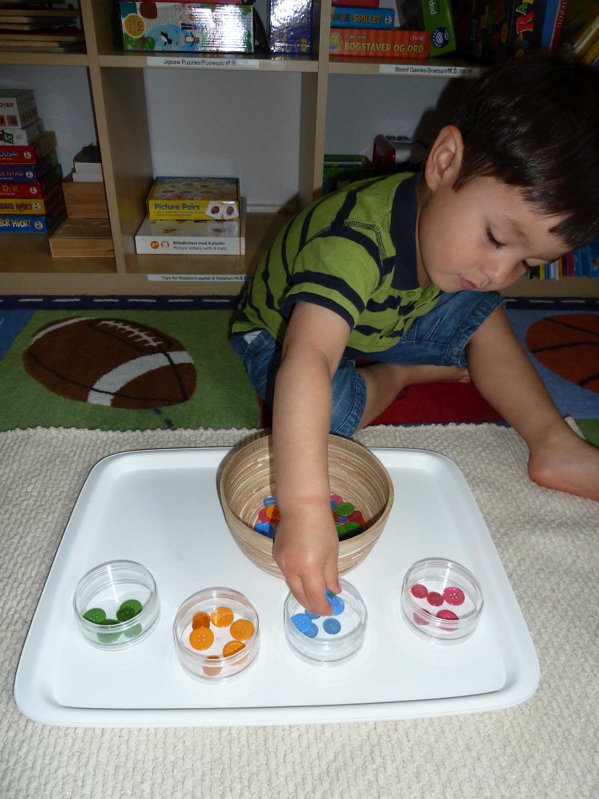 Family FECS Montessori Activity Sorting Buttons