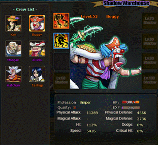 Pockie Pirates Shadows