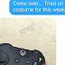 Girlfriend Did Everything To Invite Her Gamer Boyfriend To Her Place But She Failed
