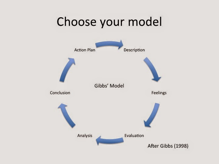 Reflective nursing essay using gibbs model