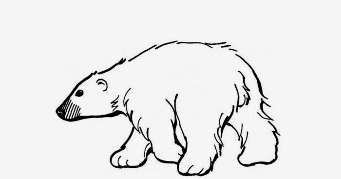 Polar bear coloring page | Free Coloring Pages and Coloring Books for Kids