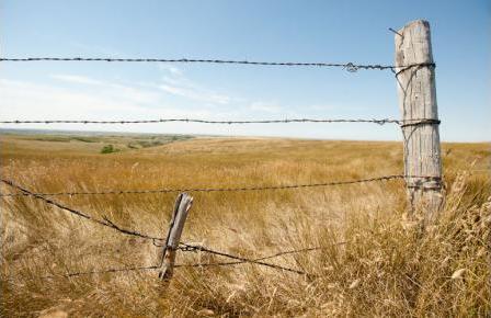 Old Barbed Wire Fence Old Barbed Wire Fence