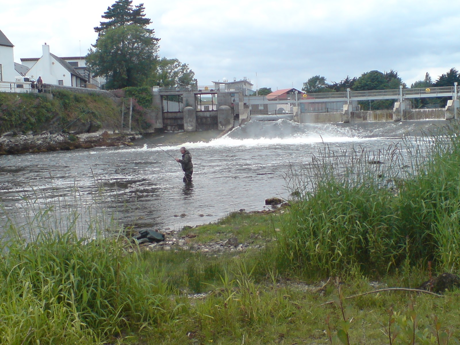SALMON FISHING IRELAND 2019 Views of the Galway Weir