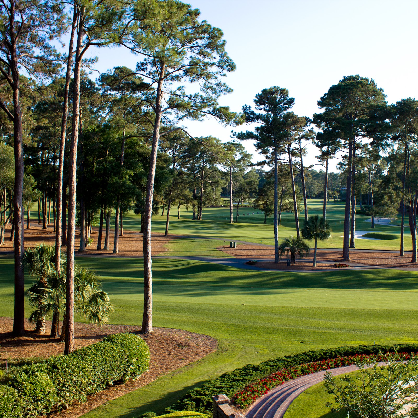 http://4.bp.blogspot.com/-ICIWv9mJjyo/UGHvlBv2CkI/AAAAAAAAAhw/0sW0InL8WCE/s1600/SeaPines+Golf+Course+2+-+Hi-Res.jpg