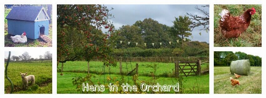 Hens in the Orchard