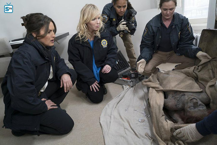 Law and Order Special Victims Unit - Devils Dissections - Review