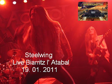 Steelwing -  Live Biarritz l' Atabal 19. 01. 2011