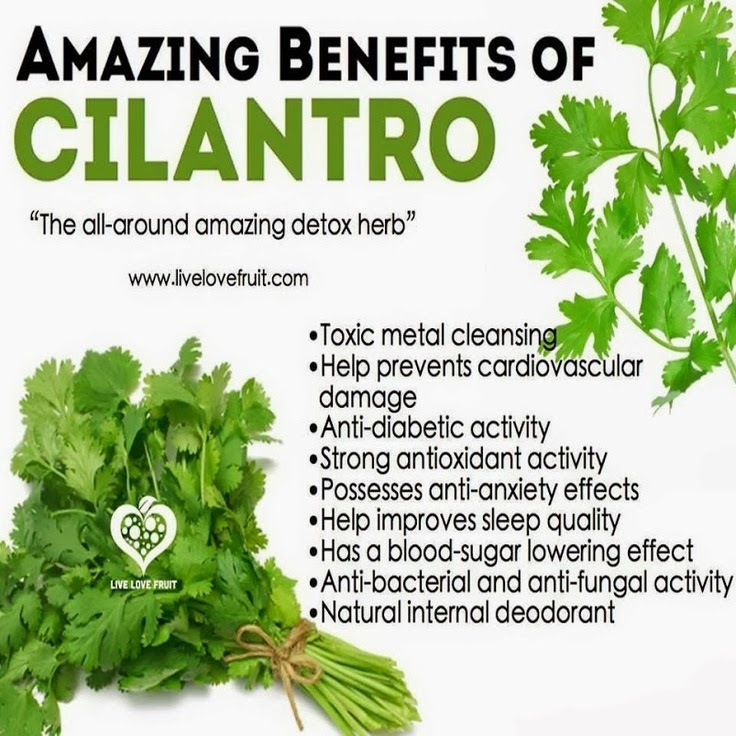 Health & nutrition tips Amazing benefits of cilantro