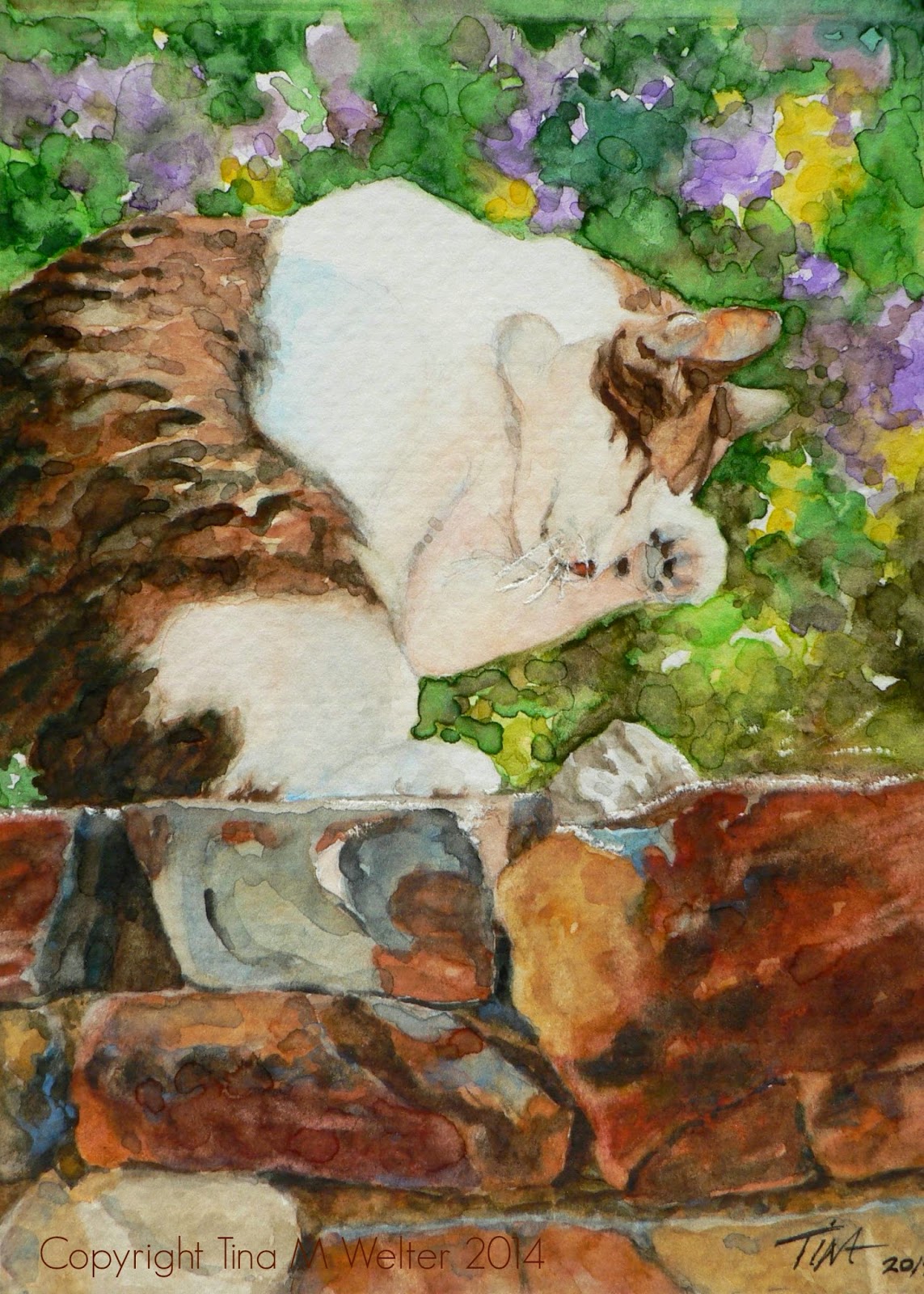 "Morning Wash" 7 x 5 watercolor on 140lb cold press paper, © 2014 Tina M Welter, inspired by a cat in Dresden, Germany Charming brown and white cat, washing her face on the garden wall in Dresden, Germany