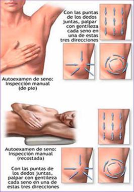 Auto Examen