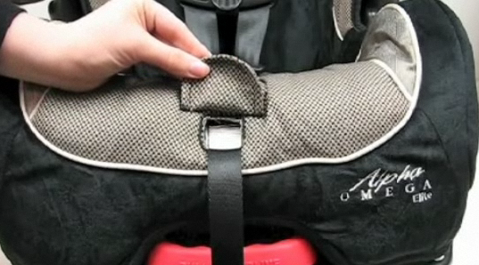 Recalled+car+seats+eddie+bauer