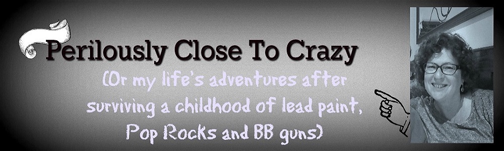 Perilously Close To Crazy (or survival after a childhood of lead paint, Pop Rocks & BB guns)