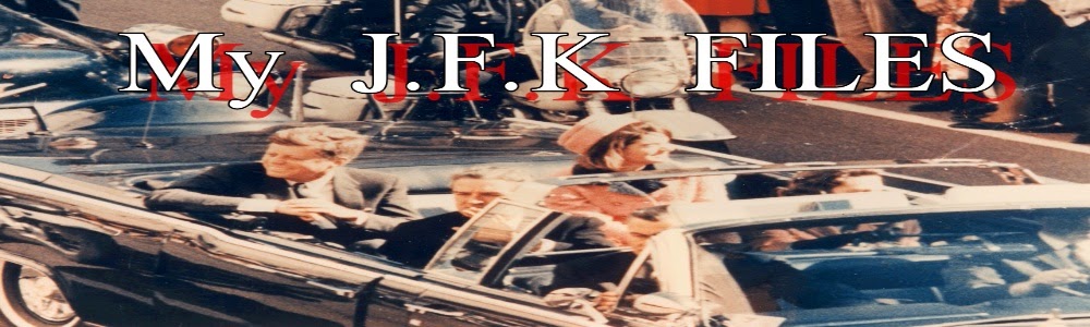 My JFK Files 