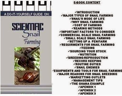 Practical Snail Farming Business Guide