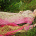 Umar Sayeed Lawn 2015-16 Dresses By Imperial Textile