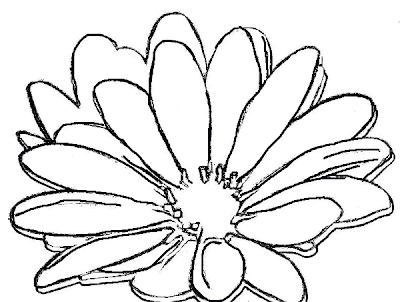 Coloring Page Flower Drawing