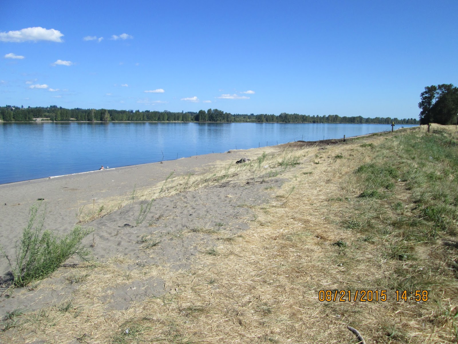 Traveling Man RIDE TO SAUVIE ISLAND, OREGON