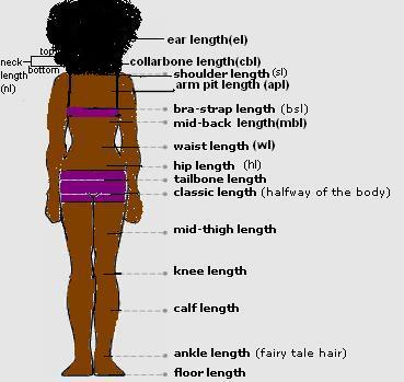 Kinky Hair 101 Growth Length Retention The Kinky Apothecary