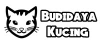 Budidaya Kucing