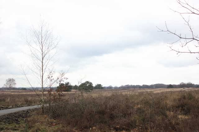 De Veluwe