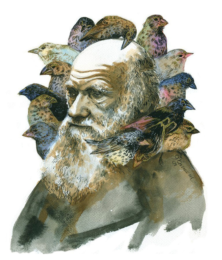 Let's keep it wild.: Darwin with the finches