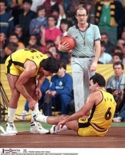 9780547225470: When the Game Was Ours - AbeBooks - Larry