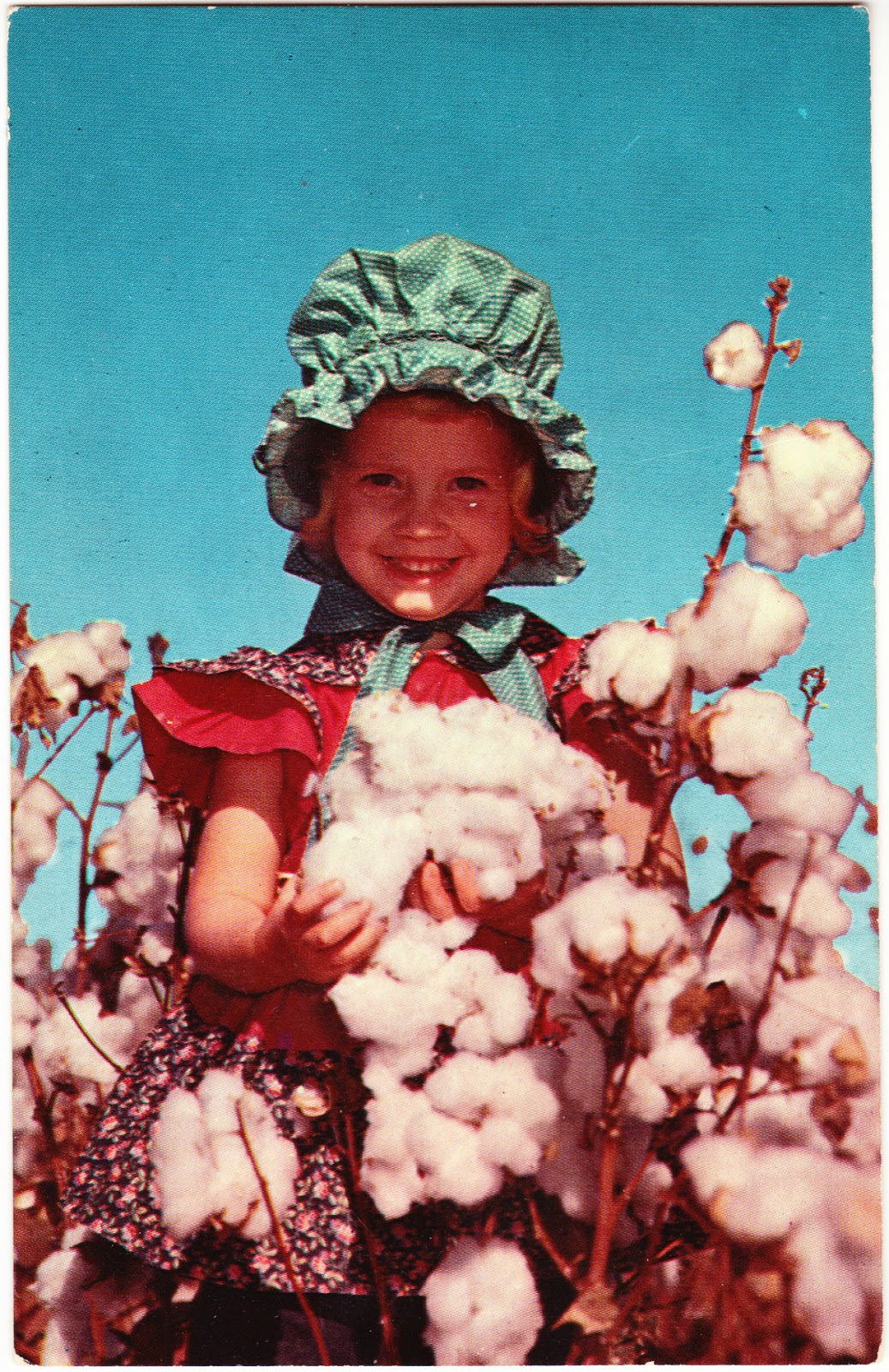 Papergreat Saturday's postcard 1 Cute cotton girl in the South