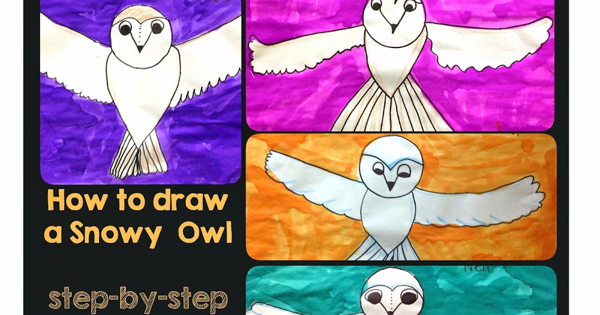 drawing snowy owls savvy teaching tips