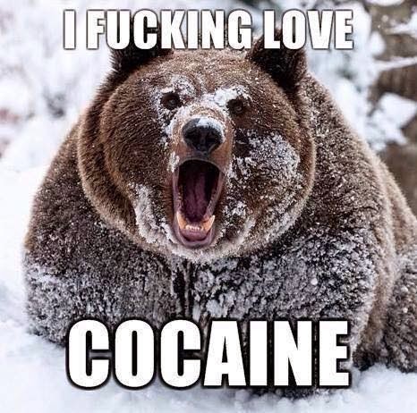 I fucking love Cocaine
