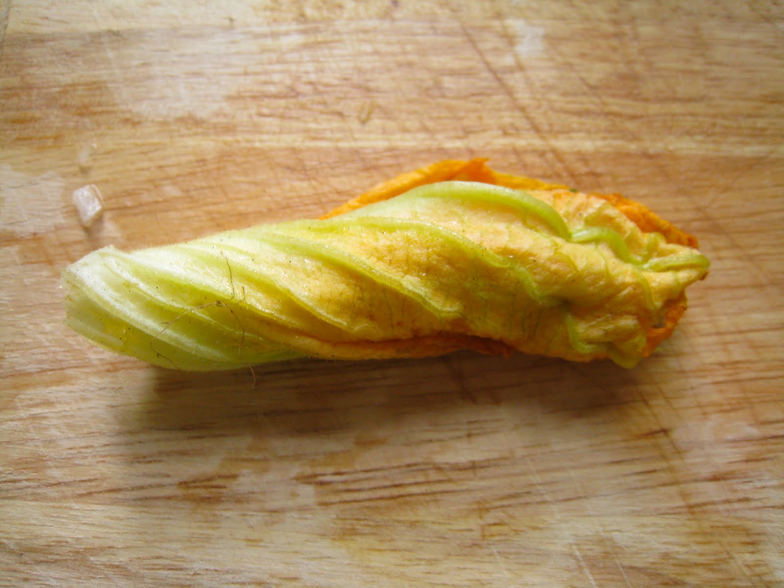 Grill A Chef Squash Blossom Sauce